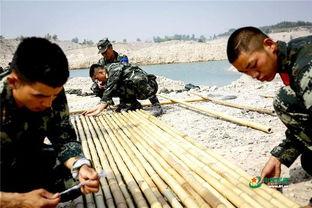 看料员都干啥的,揭秘他们的日常工作与职责